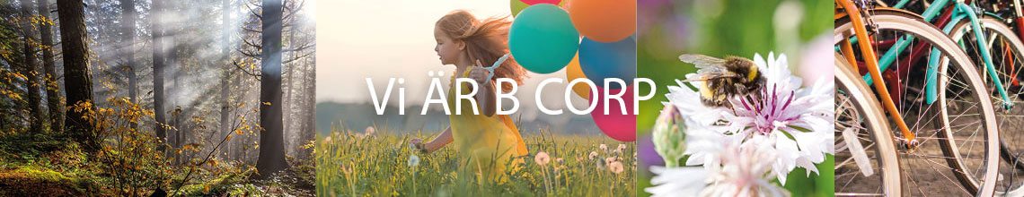 Kraft Group - Hållbarhet